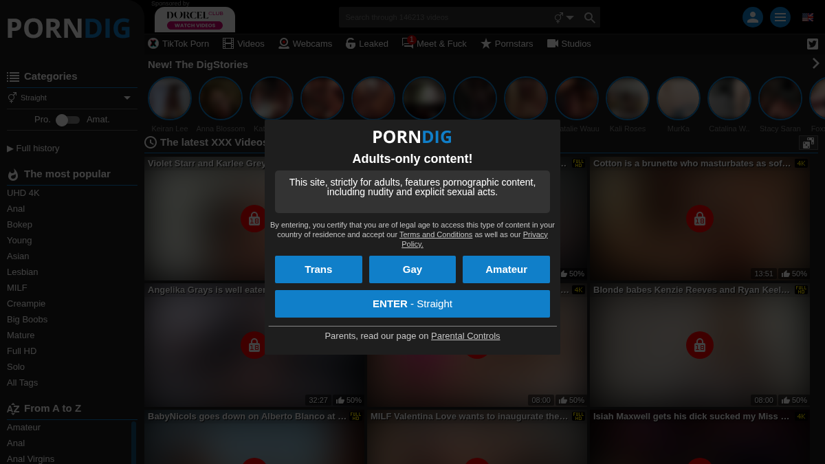 PornDig Prévia do site